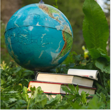 Perfect Science Class 10 (CBSE)(Just Started)