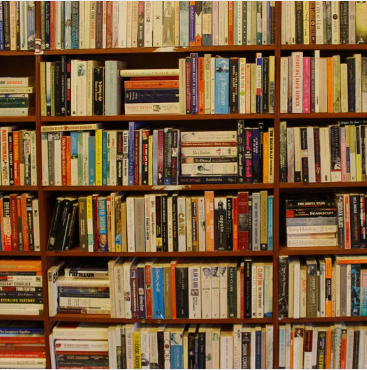 NCERT History – Themes of India(Just Started)