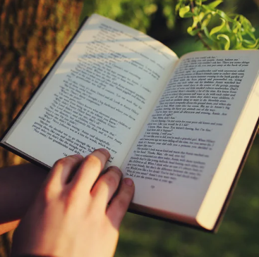 JEE Physics Formula Book(Just Started)