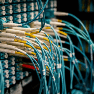 Fiber Optic Connectivity(Just Started)