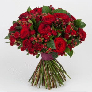 Red Roses Bouquet(Just Started)