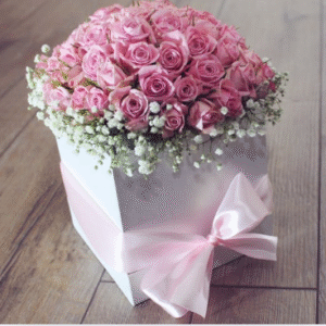 20 Pink Roses Bouquet(Just Started)