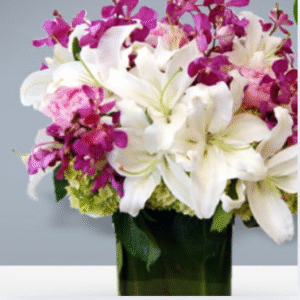 Lilies & Orchids(Just Started)