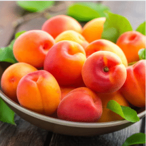 Apricots (Just Started )