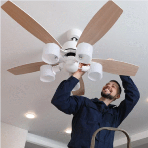 Ceiling & Wall Fans(Just Started)