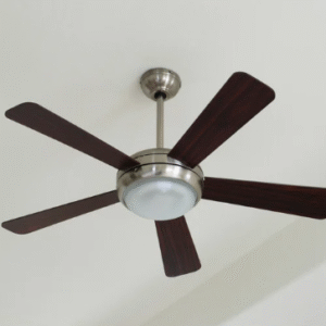 Ceiling & Table Fans(Just Started )