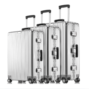 Aluminum Frame Trolleys(Just Started )