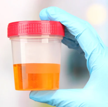 Screenshot 2025-07-11 135218