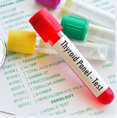 Screenshot 2025-07-11 135439