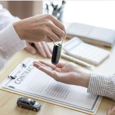 License Services(Just Started)