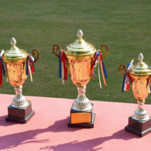 Sports Trophies(Just Started )
