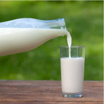 गाईचे दूध cow’s milk(Just Started)