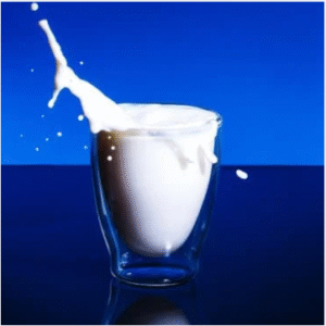 दूध जर्सी गायचे Milk used to sing Jersey(Just Started)