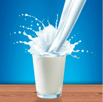 म्हशीचं दूध Buffalo Milk (Just Started)