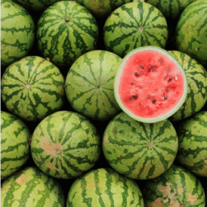 Watermelon (कलिंगड)(Just Started )