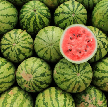 Watermelon (कलिंगड)(Just Started )