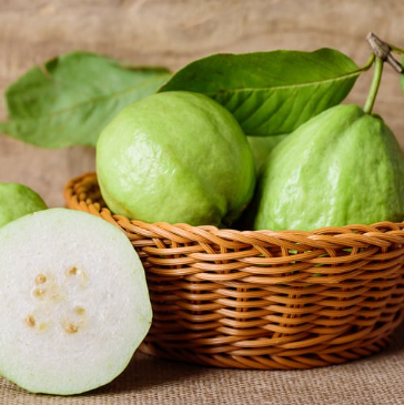 Guava (पेरू)(Just Started )