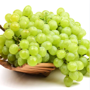 Grapes (द्राक्ष)(Just Started )