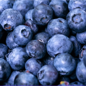 Blueberry (ब्लूबेरी)(Just Started )