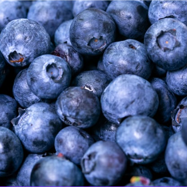 Blueberry (ब्लूबेरी)(Just Started )