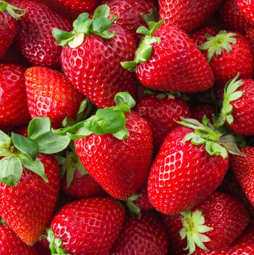 Strawberry (स्ट्रॉबेरी)(Just Started )