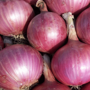 Onion(कांदा)(Just Started )
