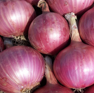 Screenshot 2025-07-02 120025