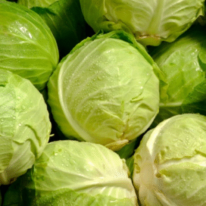 Cabbage(कोबी)(Just Started )