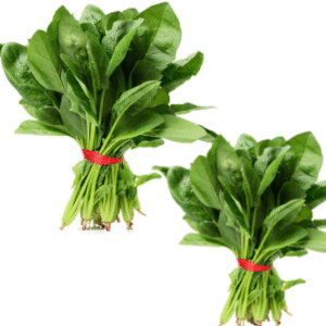 Spinach(पालक)(Just Started )