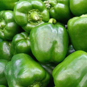 Capsicum (सिमला मिरची)(Just Started )