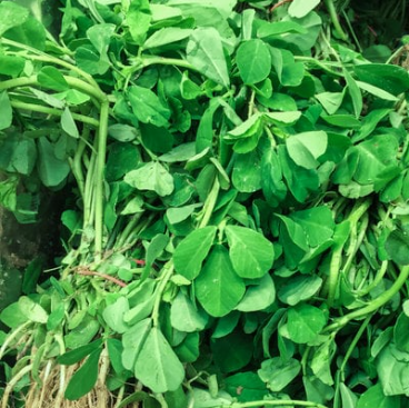 Screenshot 2025-07-02 122646