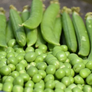 Green Peas (हिरवे वाटाणे)(Just Started )