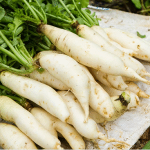 Radish(मुळा)(Just Started )