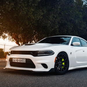 Old Car Insurance(Just Started )