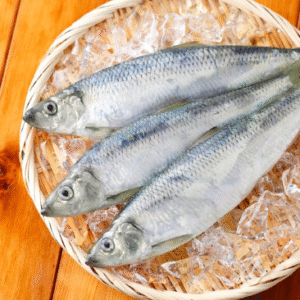 Bangda (Mackerel)(Just Started )