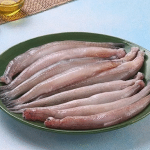 Bombay Duck (Bombil)(Just Started )